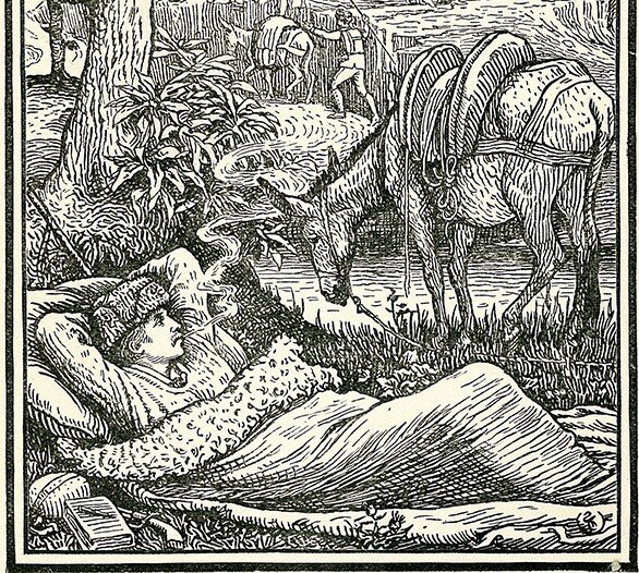Travels with a donkey in the cevennes   frontispiece