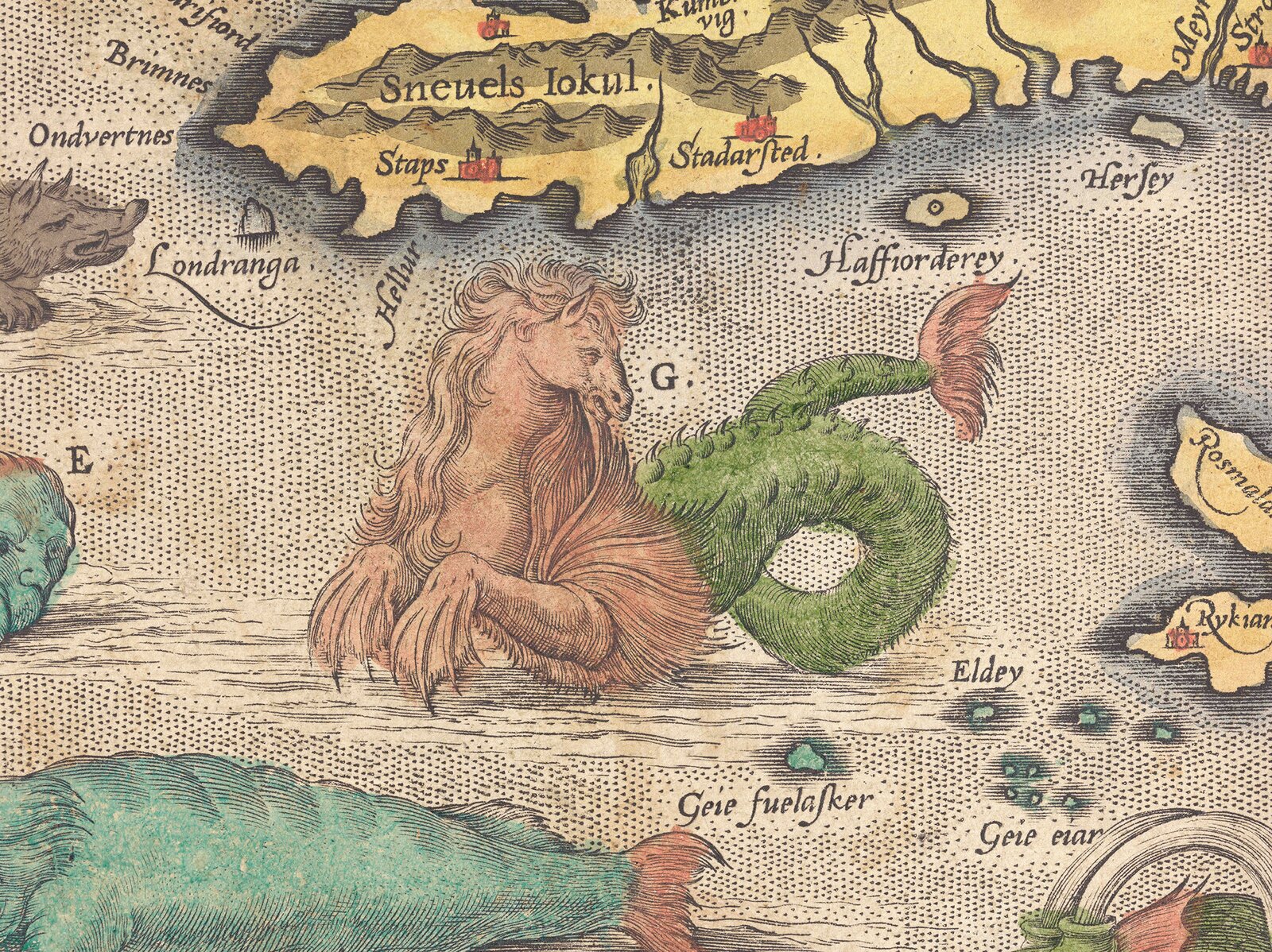 Havhest pa islandia kartet ortelius 1585