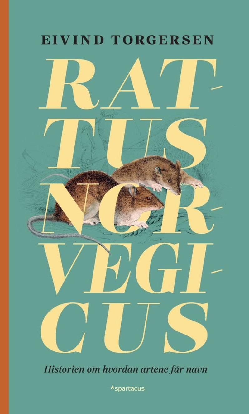 Omslag, Rattus norvegicus